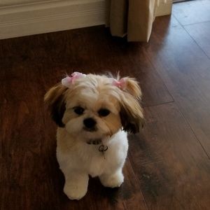 Meet your Posher, Vanessa